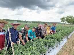 Peningkatan Produksi Pertanian Melalui Teknologi Modern
